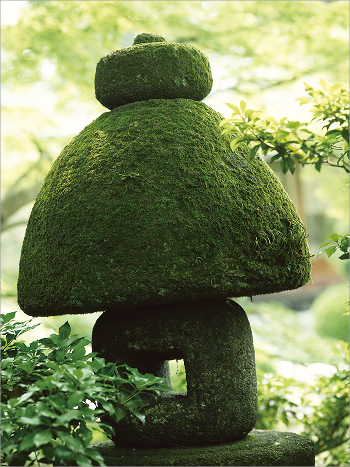 緑に囲まれ、苔をまとった石造物